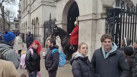 I AM NOT GOING TO STOP FILMING #horseguardsparade