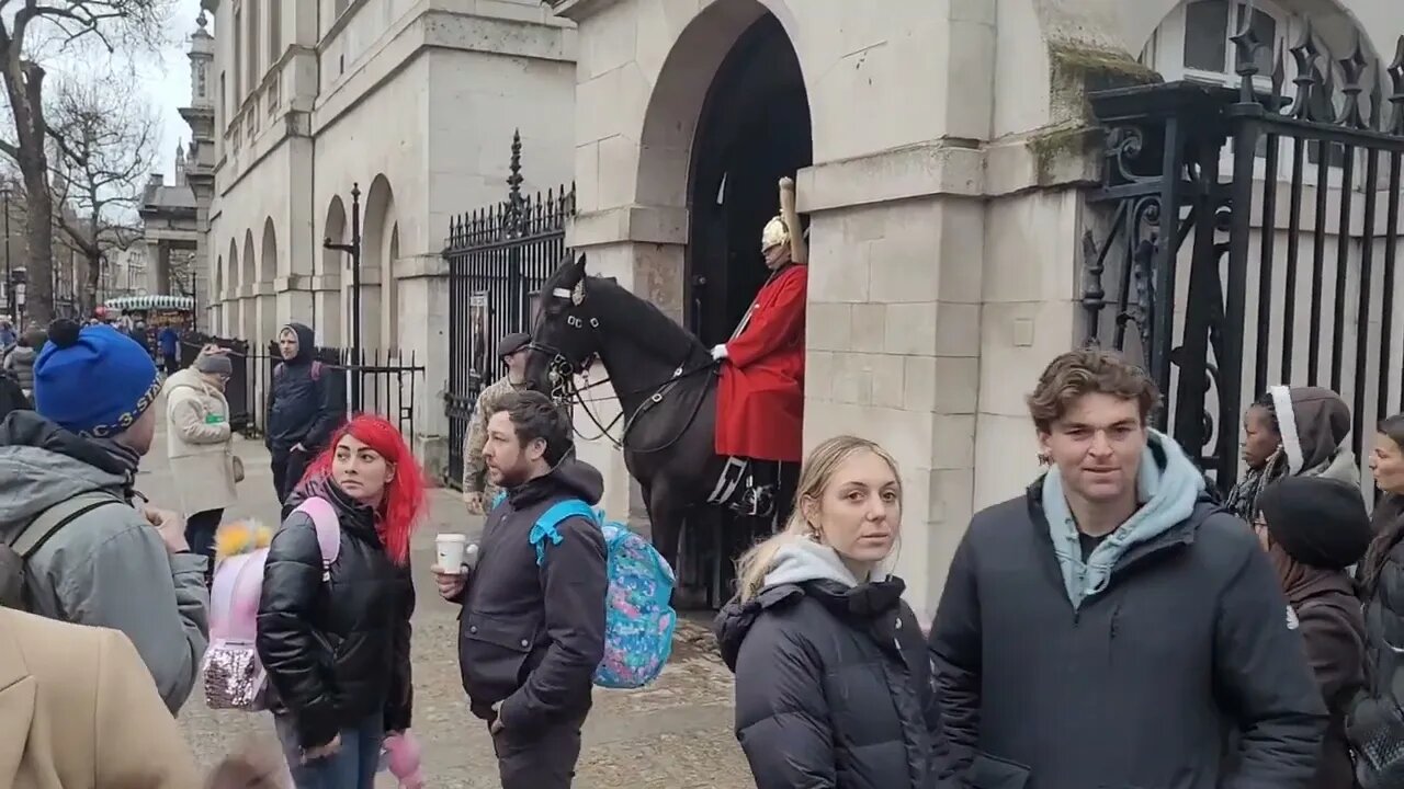 I AM NOT GOING TO STOP FILMING #horseguardsparade