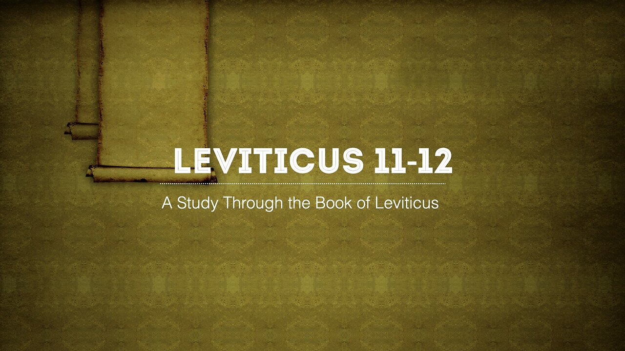 Book of Leviticus #4 Chapters 11-12
