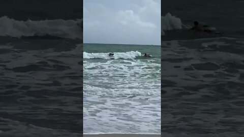 me buying Bitcoin 56k.. then riding the wave