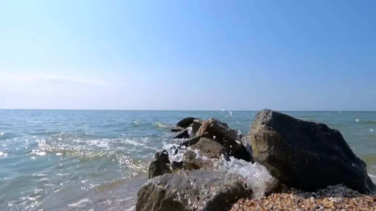 Bank of Sea and Beachs
