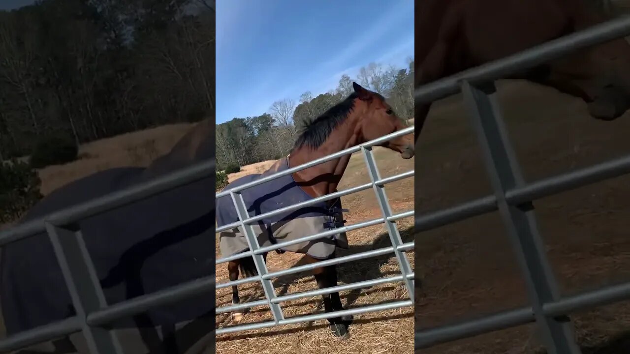 Got your hair!