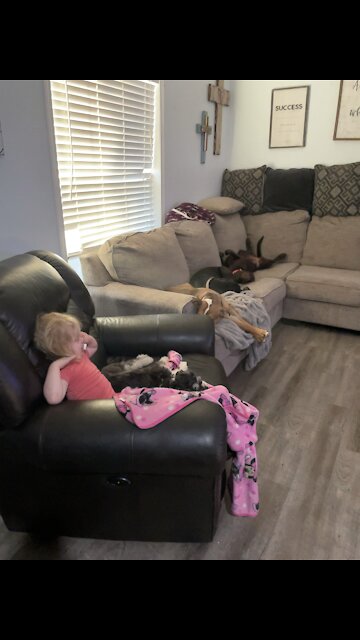 When you dog sit and have dogs