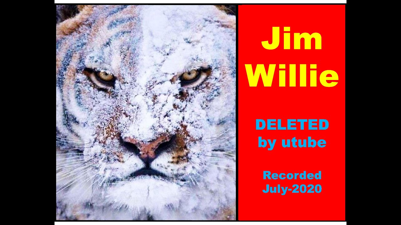 Jim Willie - There's No Money in a Cure - DELETED by utube