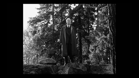 Wild Strawberries (Karma Train Edit)
