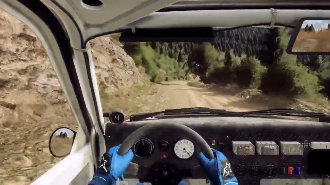 DiRT Rally 2 - 205T16 Scurries Through Abies Koilada