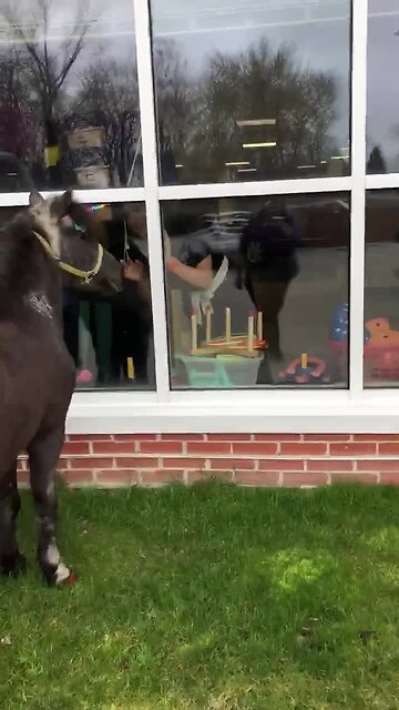 Princess the Pony cheers up seniors at nursing home