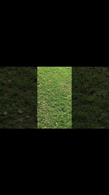 Putin confirmed he ordered massive missile salvo against Ukraine. Are we close to nuclear war?