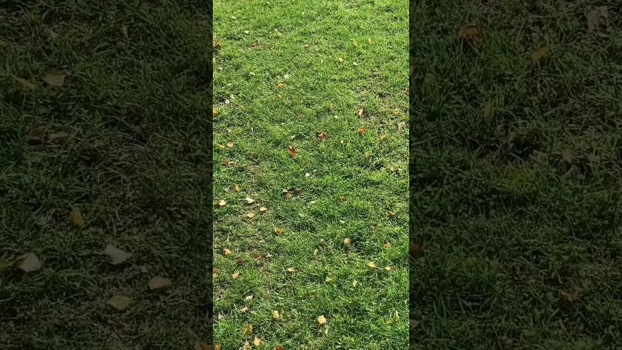 Putin confirmed he ordered massive missile salvo against Ukraine. Are we close to nuclear war?