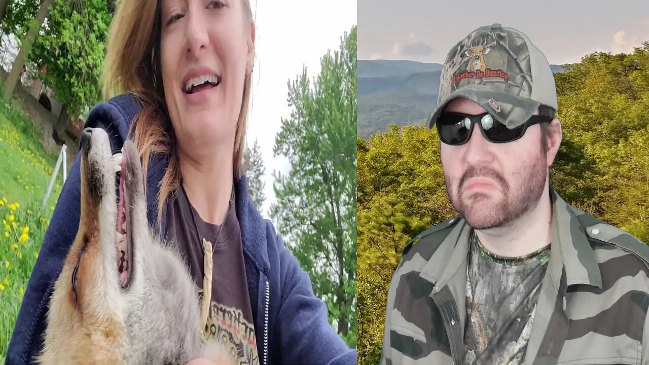 Bonding With Finnegan Fox And Dixie Fox (SaveAFox) - Reaction! (BBT)