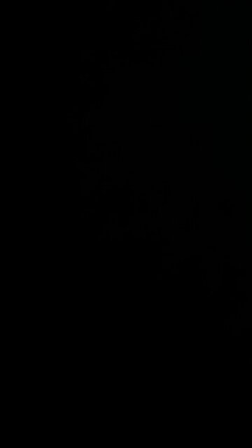 How to pronounce American revolution