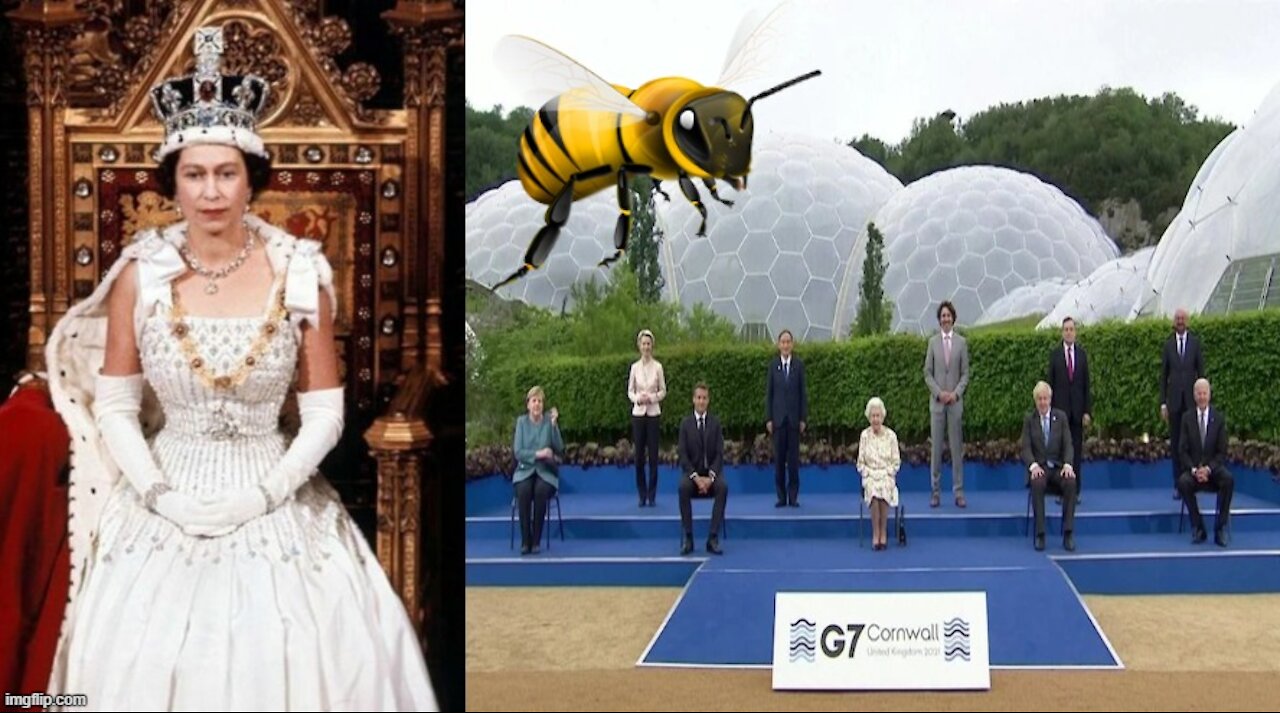 Queen Bee Crown Vyrus Exposed - Eyes 2 See & Ears 2 Hear!