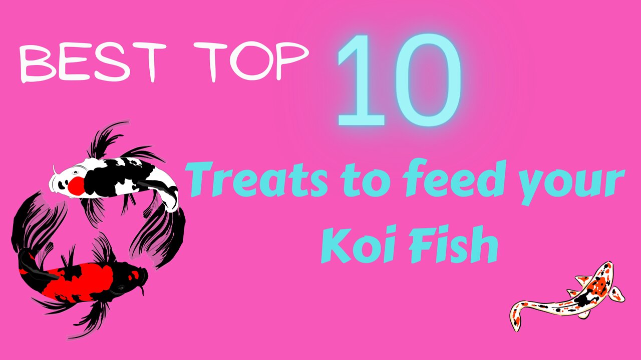 THE TOP 10 BEST TREATS TO FEED YOUR KOI FISH...#ANMAL HOW TO