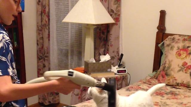 Boy Vacuums Kitty Cat