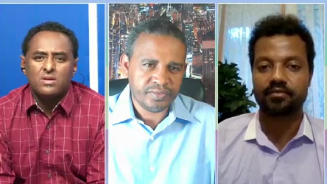 የካድሬዎች መጫወቻ የሆነው የአብይ አህመድ መንግስት - ሀብታሙ አያሌው