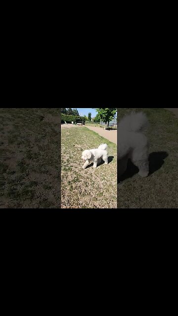 KNOW WHAT IS THE WORD, FOR WHAT DO TERMS DEFINE