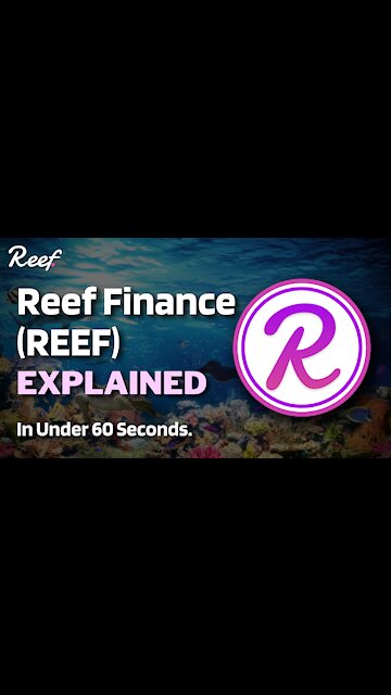 What is Reef Finance (REEF)? | Reef Finance Explained in Under 60 Seconds