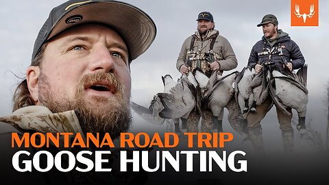 A Montana Goose Hunting Road Trip | With Flying V