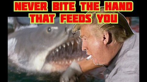 Never Bite The Hand That Feeds You!!!