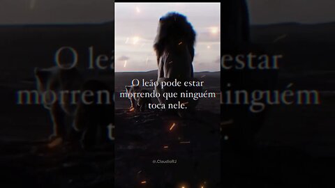 supere e Recomece #reflexão #frasesmotivadoras #motivação
