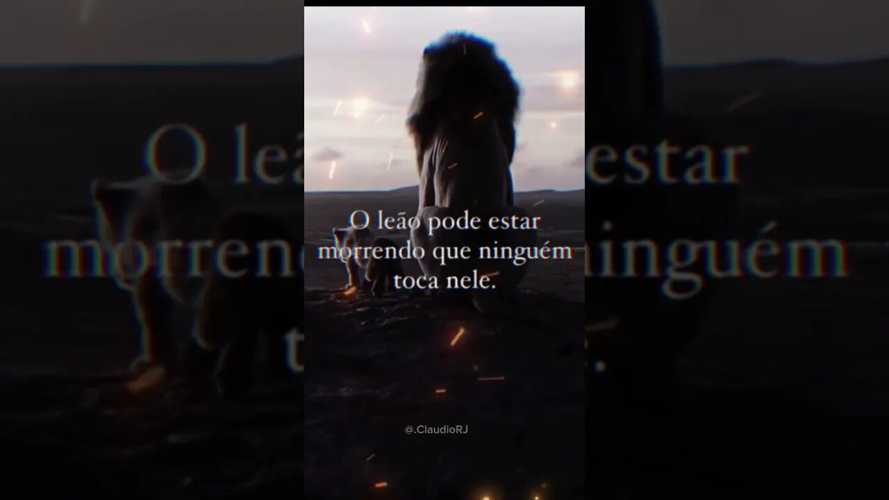 supere e Recomece #reflexão #frasesmotivadoras #motivação