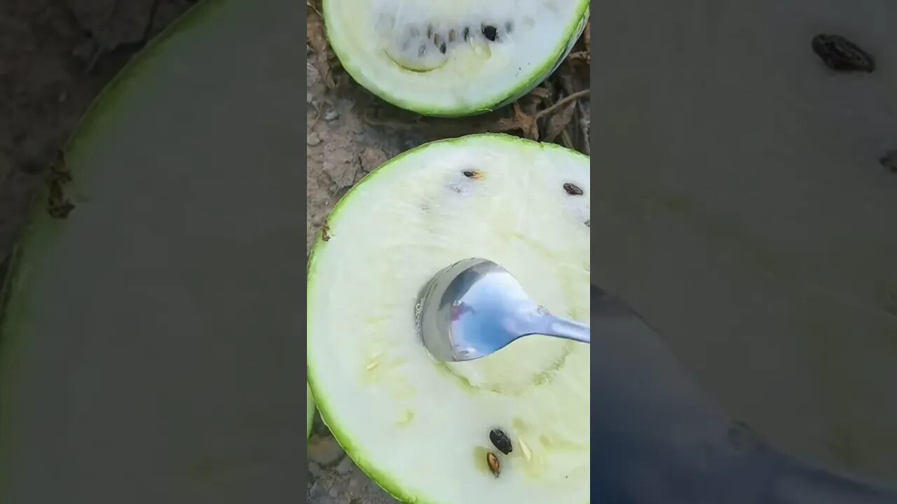 OMG😱white watermelon🍉