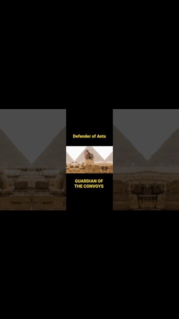 D.O.A Guardian of the Convoys 😃