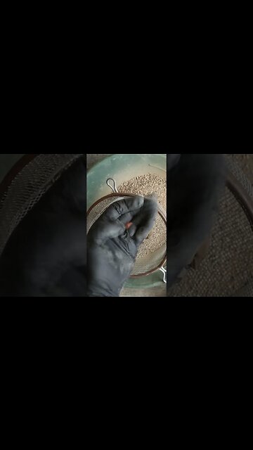 Gold Paydirt from Black Mass 1 Gram Guarantee