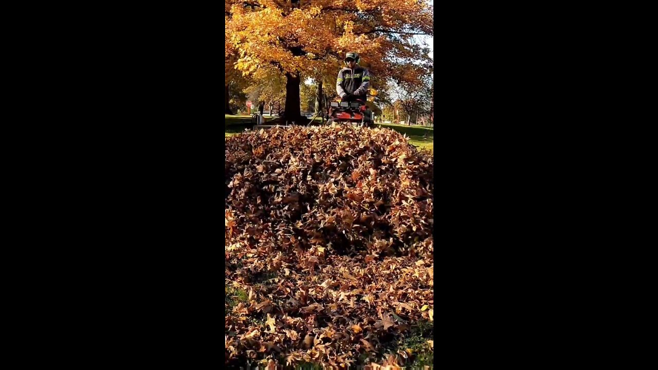 How To Move HUGE Piles Of Leaves!