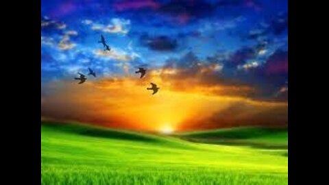 A Journey to Paradise - The New World Promised by God!