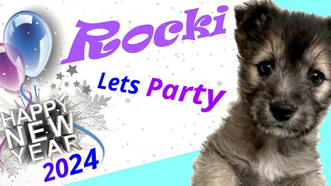 Puppy Rocki