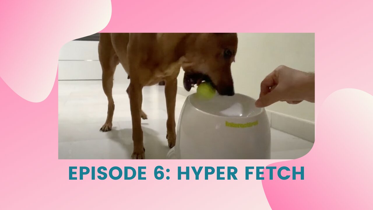 Hyper Fetch