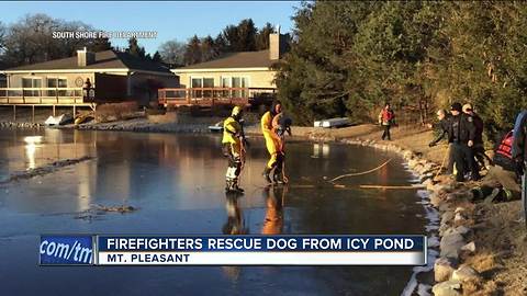 Dog rescued by Racine firefighters after falling through thin ice