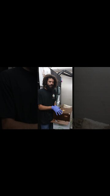 🍄 historical mushroom propagation #shorts