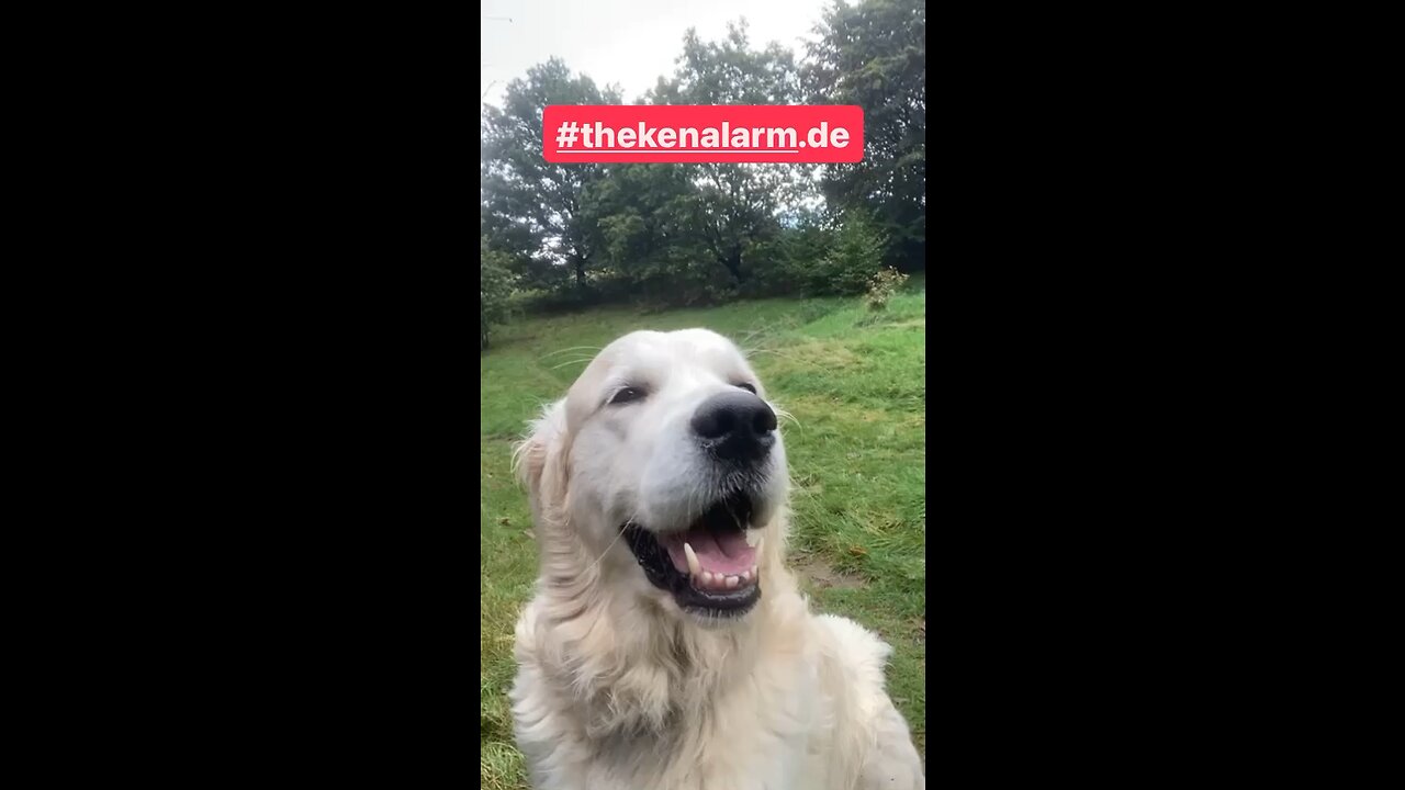 OHNE KLIMBIM