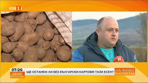 Ще останем ли без български картофи тази есен