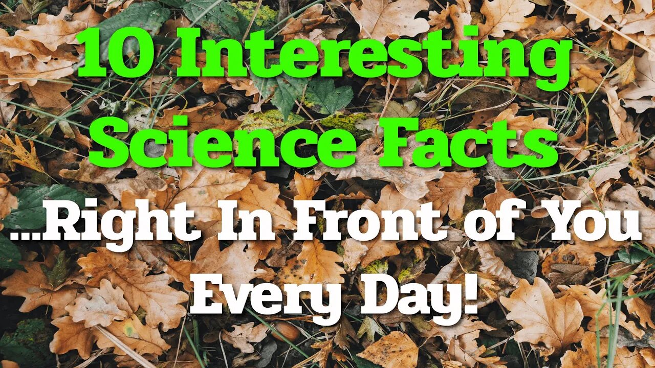 Here are 10 Interesting Science Facts That are Right In Front of You!