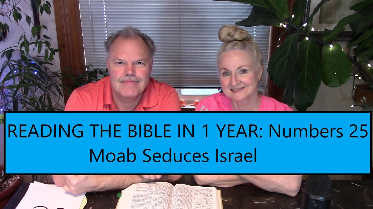 Reading the Bible in 1 Year - Numbers Chapter 25 - Moab Seduces Israel