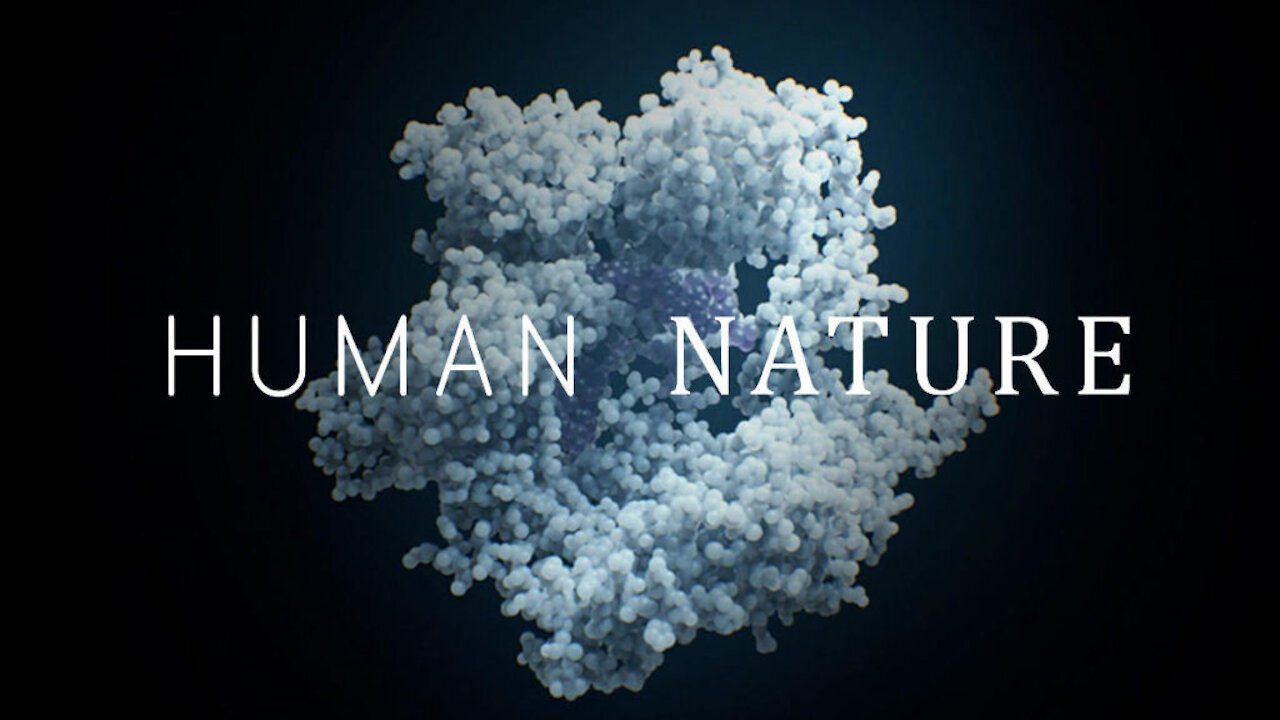 Human Nature - 1º