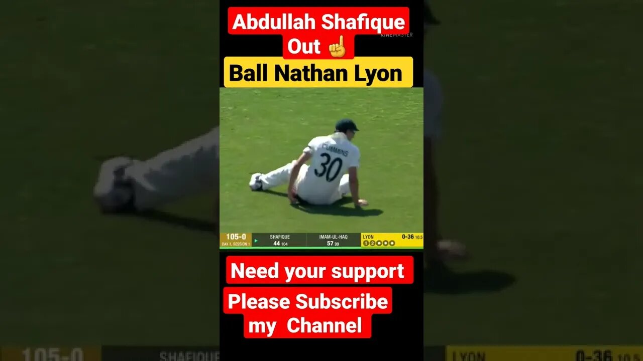 Abdullah Shafique out ball Nathan Lyon| #abdullahshafique | Pak vs Aus test series