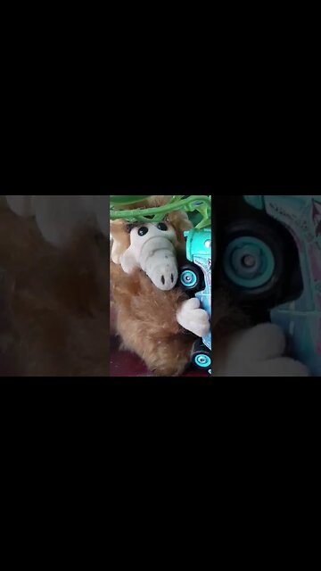 #alf #stevecutlerlive