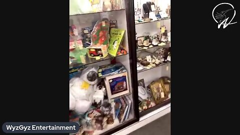 Antique Mall Chill Stream Part 2