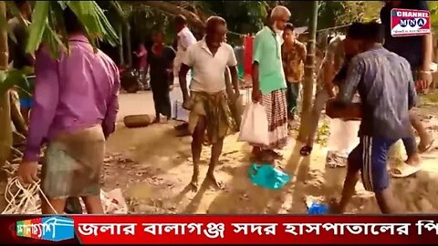 সিলেট জেলার বালাগঞ্জ সদর হাসপাতালের পিছনে বড়বাগা নদীতে শুক্রবার ঝাকে ঝাকে মাছ ধরা পড়ে