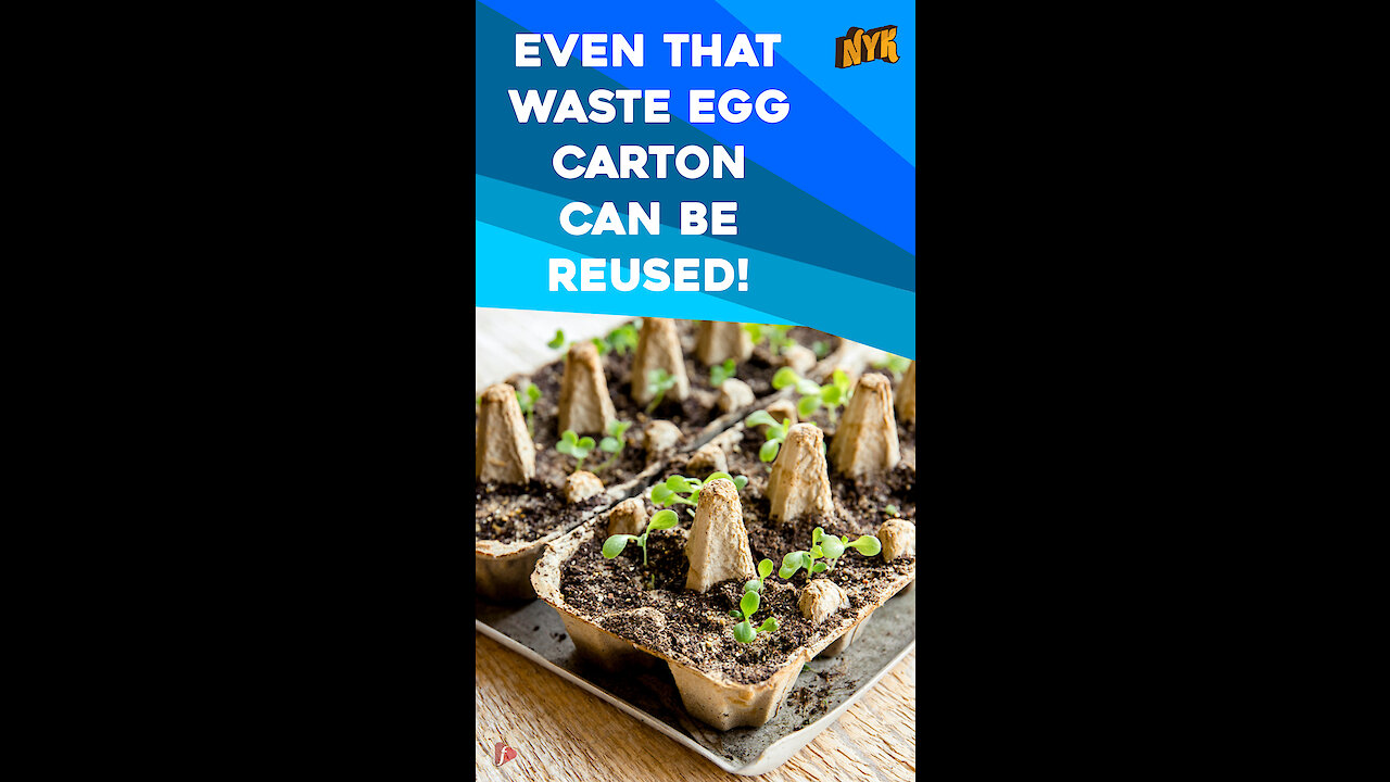Top 5 Ways To Reuse Waste Home Products *