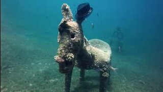 Escultura de burro encontrada no fundo do Mar Vermelho