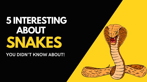 5 INTERESTING FACTS ABOUT SNAKES YOU DIDN'T KNOW ABOUT