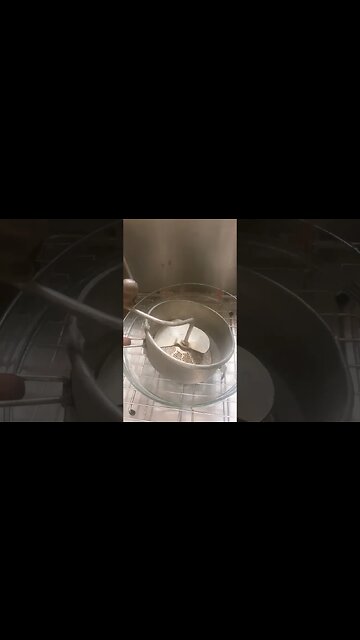 Fresh Tomato soup (delicious)