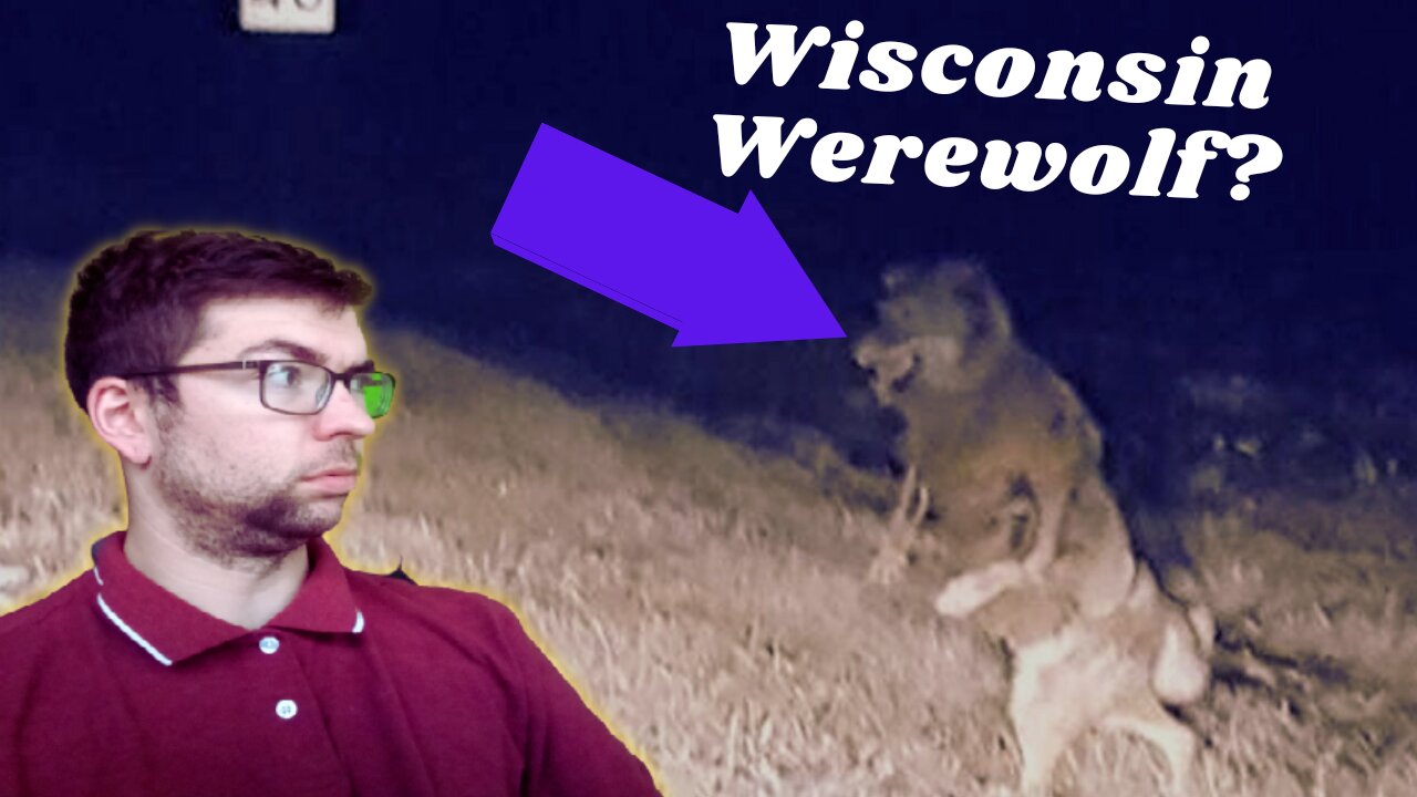 6 Creatures that could be in Wisconsin.