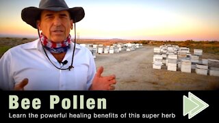 Health Benefits of Bee Pollen