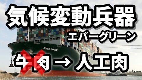 スエズ運河のコンテナ船 エバーグリーン エバーギブン 大損害を出した荷物 トルコのTV番組より KAAN SARIAYDIN MAVI GAZETEM 2021/04/10